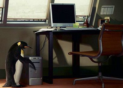 best cheap laptop for linux